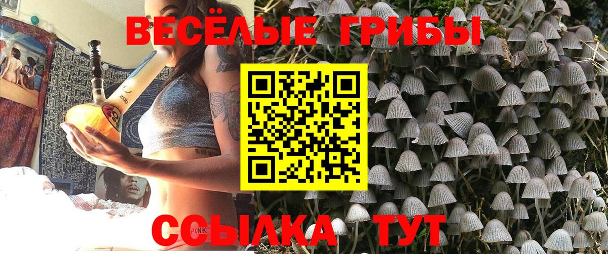 Кыштым  Галлюциногенные грибы MAGIC MUSHROOMS  Вход с VPN 